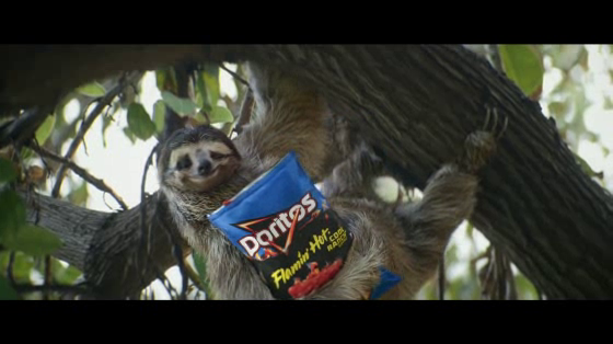 Flaming Hot Cheetos and Doritos: Push It