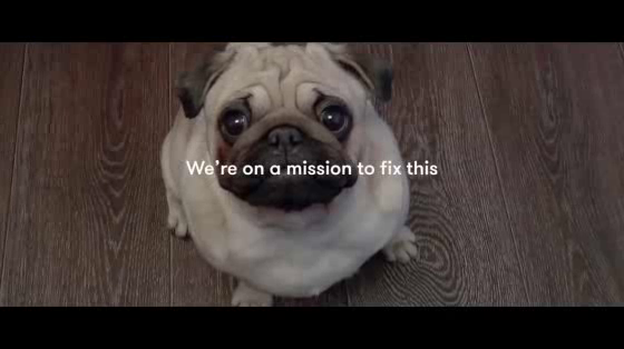 Black Hawk: DogCheck