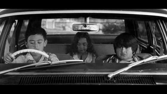 Drug Driving: Blazed
