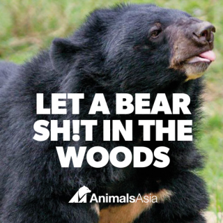 Animals Asia: Let a bear shit in the woods
