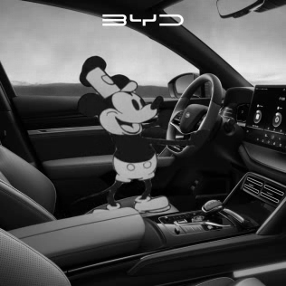 BYD Auto: Micky Driving BYD