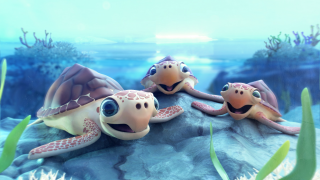 AQWA: Turtle Tears