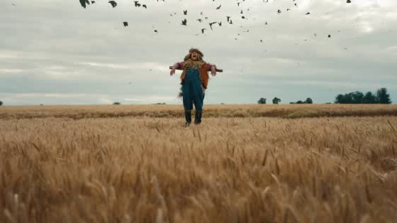 Kayak.com: Scarecrow