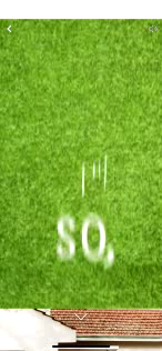 Water Corporation (Water Conservation): Nature Knows Best - Facebook Canvas