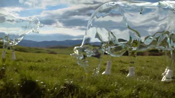 Anchor: If milk was meant to see the light, cows would be see-through
