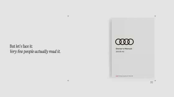 Audi: Manual Novels