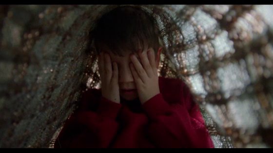 Refuge charity: Hide and Seek