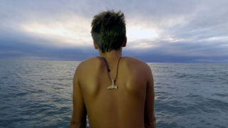 Tropical North Queensland: Pascal's 1 Day in Paradise. Justin McMillan.