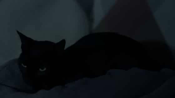 House of Representatives: Alarm Clock TV Spot