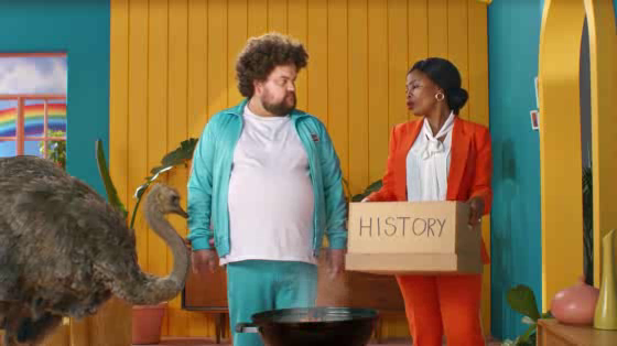 webafrica Fibre: History