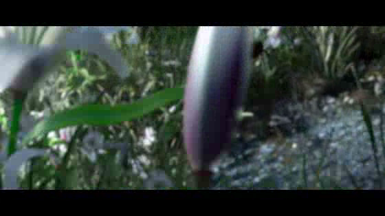 Vittel: Bee