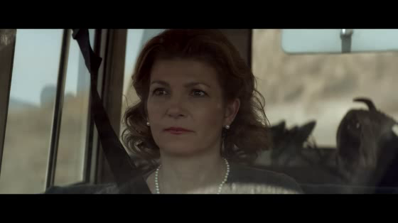 Firestone: Pick Up