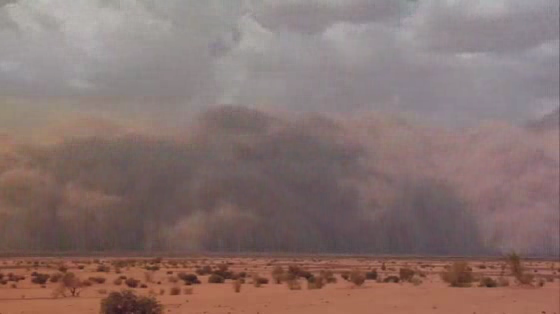 Nat Geo Wild: Sandstorm