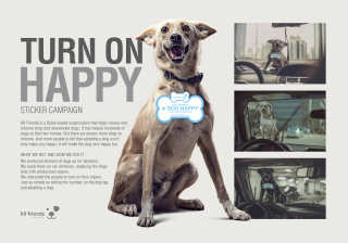 K9 Friends: Turn on happy