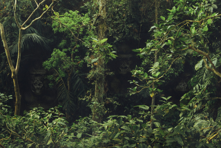 Land Rover South Africa: Genuine Parts - Gorillas