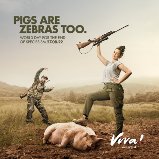 Viva!: Trophy Hunters