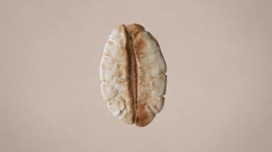Cadbury Brunch: Oat