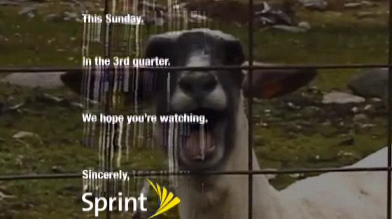 Sprint: An apology