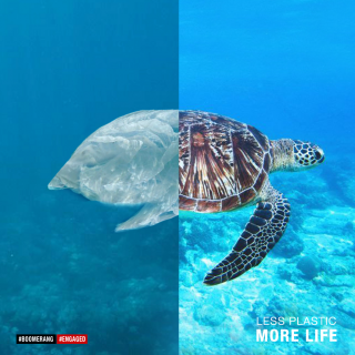 Great Cause: Less Plastic More Life