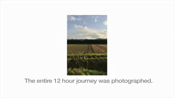 Tranz Scenic: See More of New Zealand by Train