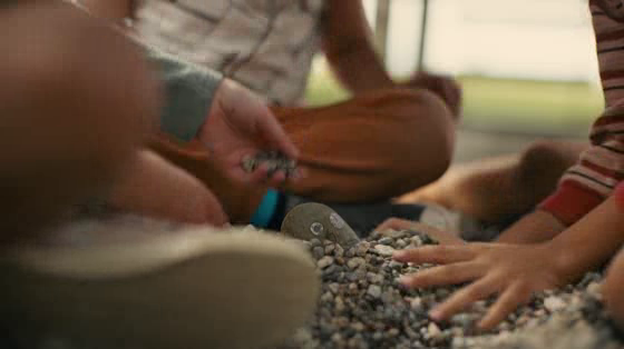 Mayo Clinic Health System: Pet Rock