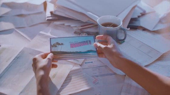 Hawaiian Airlines: Work From Home