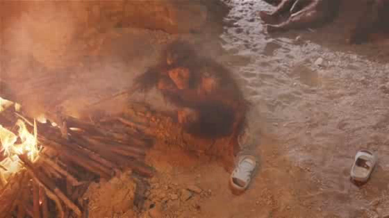 Gambol: The Polluted Ape