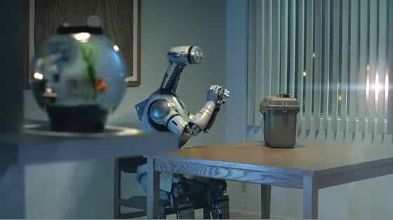 Carl's Jr.: Robot
