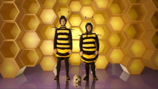 Buzz Insurance: Guard Dog