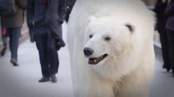 Fortitude: Polar Bear Roams London