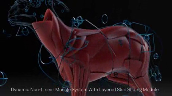 Volkswagen: The Making of Born Confident