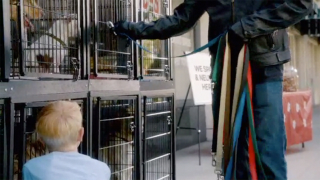 Harley-Davidson: Liberation