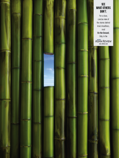 Nikkei Asian Review: Bamboo