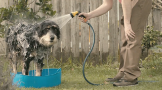 MySKY: 60 things in 60 seconds