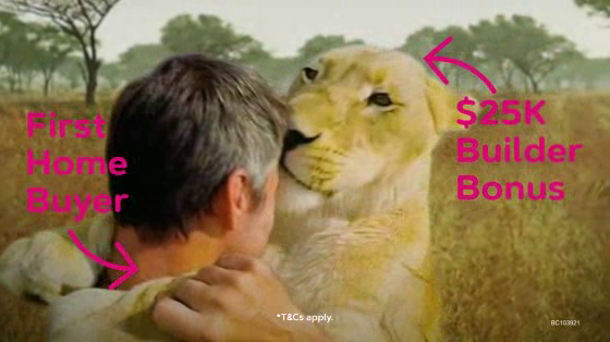 Hug Homes: Lion