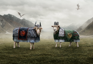 HBO House of the Dragon: Protect the Flock