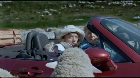 Centraal Beheer: Sheep