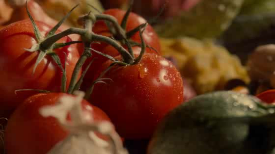 ACTION CONTRE LA FAIM: The Feast