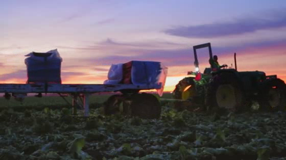 Wendy's: Romaine Lettuce Journey