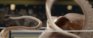 Betfair: Octopong