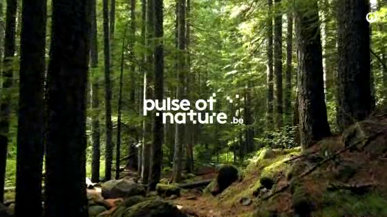 Veolia: Pulse of Nature