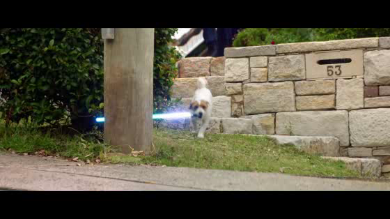 Budget Direct: Bad Dog