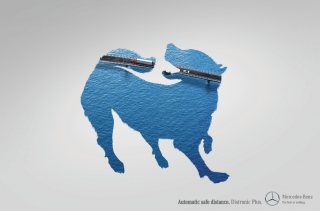 Mercedes Benz Distronic Plus: Dog