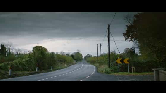 Road Safety Authority Ireland: Crashed Lives