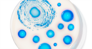 No Ugly: The bacteria that grew a campaign
