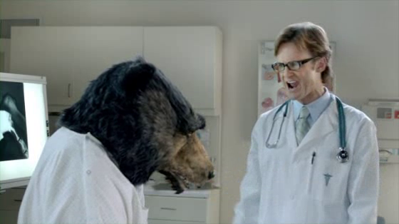 Pert Plus: Bear