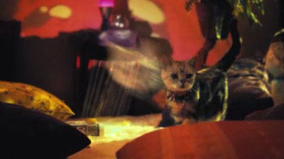 Litter Genie: Psychadelic