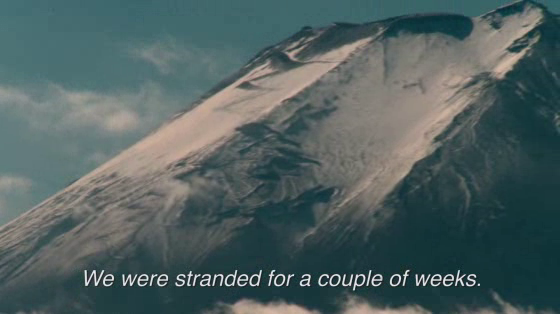 Lider Insurance: Tsunami