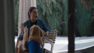 Olympic & Paralympic Games: Allianz Support Dog Squad