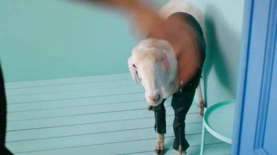 Diesel: Say No To Uncool Wool - The Wardrobe